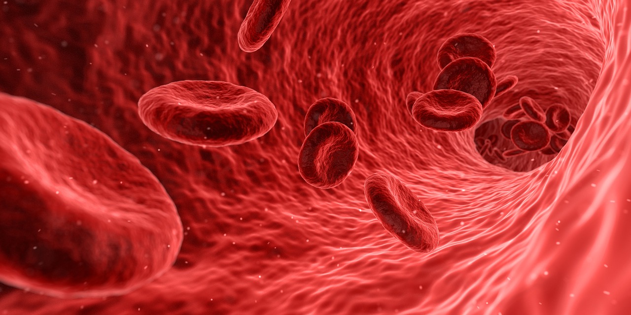液体のりから造血幹細胞が出来たってどういうこと？